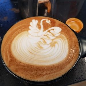 Meet your Posher, Woncheon